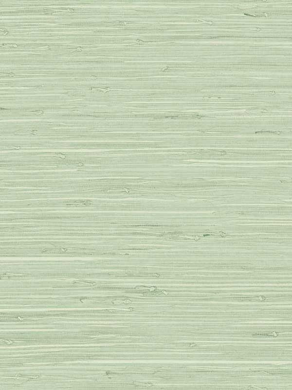 Marion Faux Arrowroot fabric in frosted grass color - pattern number TG60535 - by Dupont in the Tedlar Textures collection