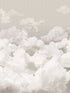 Clouds 4 Panel fabric in taupe grey color - pattern number 26783 - by Galerie in the Crafted collection
