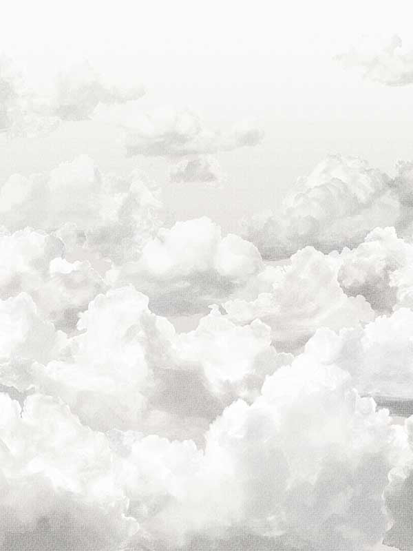 Clouds 4 Panel fabric in stone grey color - pattern number 26784 - by Galerie in the Crafted collection
