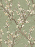 Sakura Tree fabric in green color - pattern number 19034 - by Galerie in the Spring Blossom collection