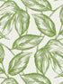 Beckett Sketched Leaves wallpaper in apple green color - pattern number SC20004 - by Seabrook in the Summer House Seabrook collection