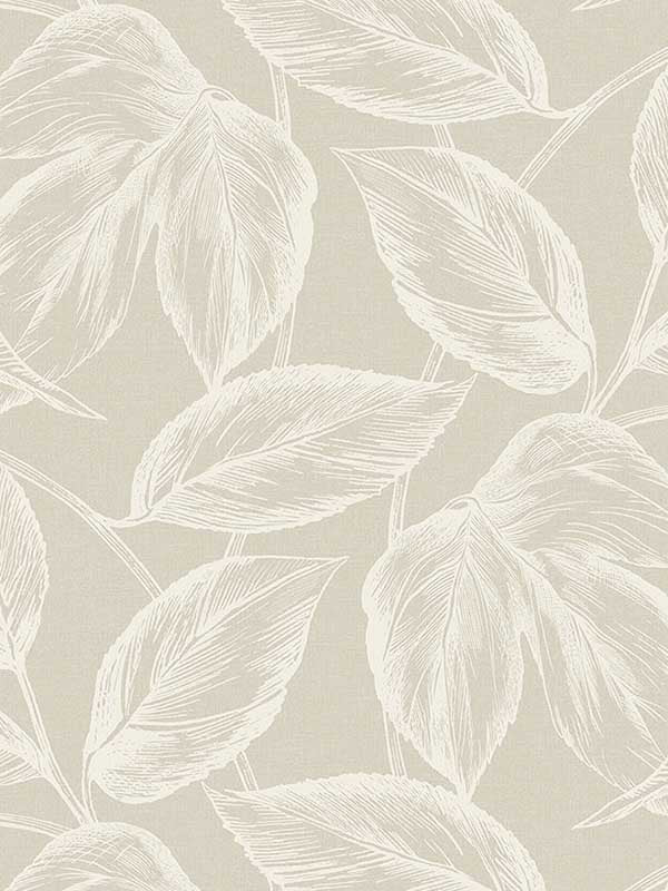 Beckett Sketched Leaves wallpaper in oat color - pattern number SC20005 - by Seabrook in the Summer House Seabrook collection