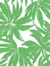Palma fabric in green color - pattern number DBW9112 - by Wallquest in the West Boulevard by Daisy Bennett collection
