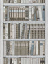 Bibliotheque fabric in greige color - pattern number BR-69080.11.0 - by Brunschwig and Fils in the  collection