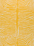 Le Zebre fabric in saffron color - pattern number P8014100.40.0 - by Brunschwig and Fils in the  collection