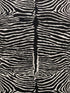 Le Zebre fabric in black color - pattern number P8014100.81.0 - by Brunschwig and Fils in the  collection