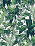 Feuillage wallpaper in blanc color - pattern number P8015102.1.0 - by Brunschwig and Fils in the  collection