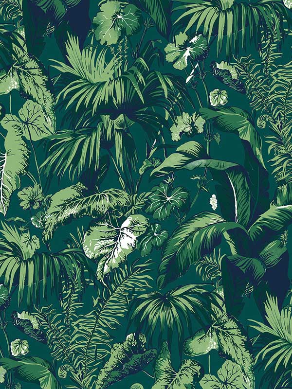 Feuillage wallpaper in green color - pattern number P8015102.3.0 - by Brunschwig and Fils in the  collection