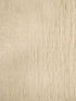 Amaya wallpaper in white gold color - pattern number P8015124.1014.0 - by Brunschwig and Fils in the  collection