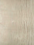 Amaya wallpaper in light gold color - pattern number P8015124.14.0 - by Brunschwig and Fils in the  collection