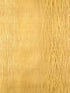 Amaya wallpaper in gold color - pattern number P8015124.4.0 - by Brunschwig and Fils in the  collection
