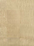 Amaya wallpaper in brass color - pattern number P8015124.404.0 - by Brunschwig and Fils in the  collection