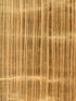 Taki wallpaper in gold color - pattern number P8015125.4.0 - by Brunschwig and Fils in the  collection