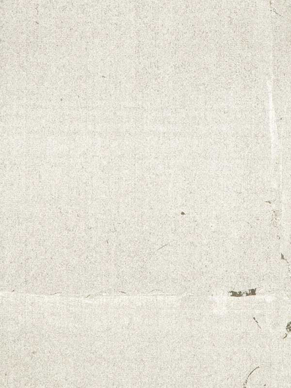 Hotaka wallpaper in graphite color - pattern number P8015129.1121.0 - by Brunschwig and Fils in the  collection