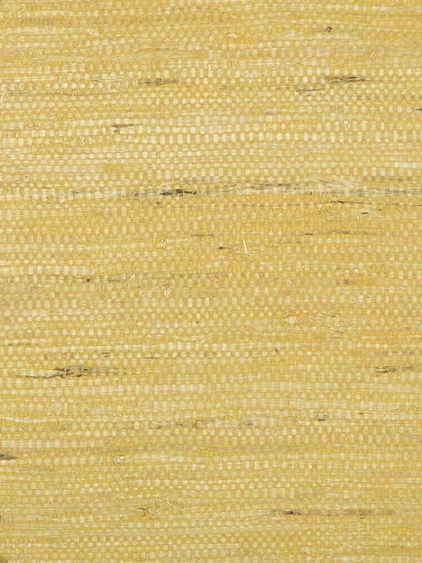 Kochi wallpaper in gold color - pattern number P8015146.4.0 - by Brunschwig and Fils in the  collection