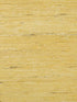 Kochi wallpaper in gold color - pattern number P8015146.4.0 - by Brunschwig and Fils in the  collection