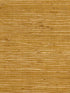 Kochi wallpaper in maize color - pattern number P8015146.40.0 - by Brunschwig and Fils in the  collection