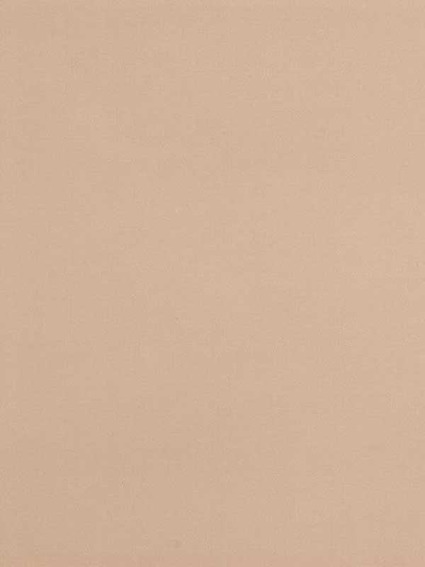 Seijun fabric in sand color - pattern number P8015147.161.0 - by Brunschwig and Fils in the  collection