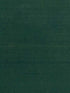 Seijun fabric in forest color - pattern number P8015147.33.0 - by Brunschwig and Fils in the  collection