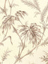 Lauziere wallpaper in taupe color - pattern number P8020113.106.0 - by Brunschwig and Fils in the  collection