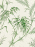 Lauziere wallpaper in green color - pattern number P8020113.3.0 - by Brunschwig and Fils in the  collection