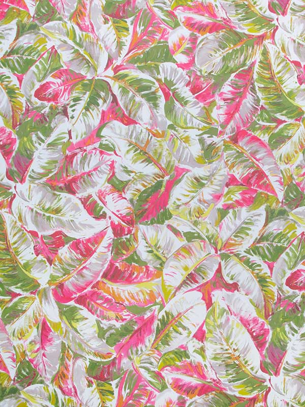 Diani wallpaper in spring color - pattern number P8022109.73.0 - by Brunschwig and Fils in the  collection
