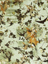 Hirondelles fabric in automne color - pattern number WH 000033306 - by Scalamandre in the  collection