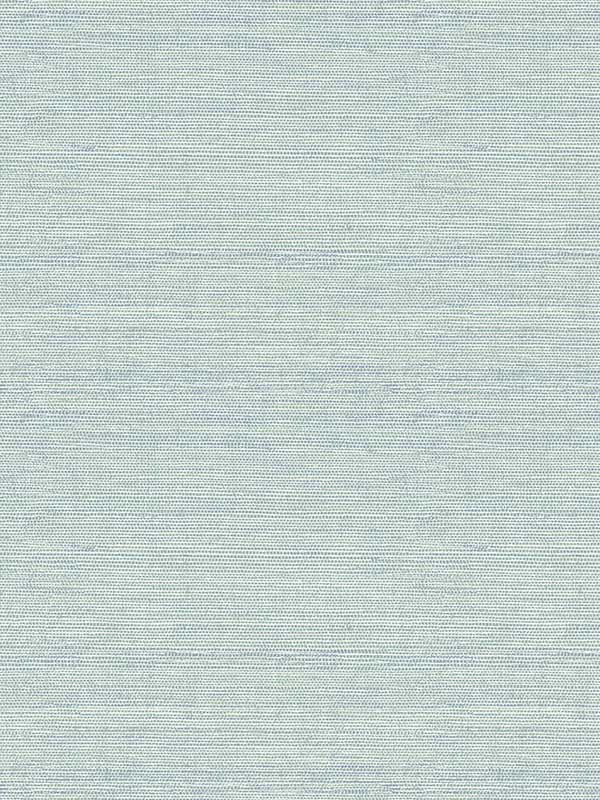 Agave Faux Grasscloth wallpaper in aqua color - pattern number 4143-24282 - by A Street Prints in the Botanica collection