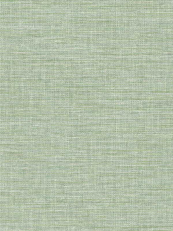 Exhale Texture wallpaper in light green color - pattern number 4143-26457 - by A Street Prints in the Botanica collection