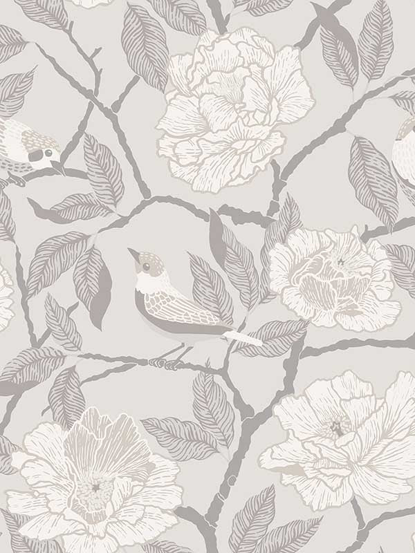 Bernadina Rosebush wallpaper in grey color - pattern number 4143-34021 - by A Street Prints in the Botanica collection