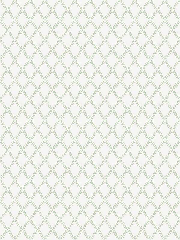 Trevor Leaf Trellis wallpaper in sage color - pattern number 4143-34036 - by A Street Prints in the Botanica collection