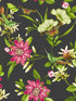 Pink Lotus fabric in noir color - pattern number W0132/03.CAC.0 - by Clarke and Clarke in the Botanical Wonders collection