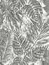 Brentwood Palm Leaves fabric in black color - pattern number 4034-72115 - by A Street Prints in the Scott Living Third Edition collection