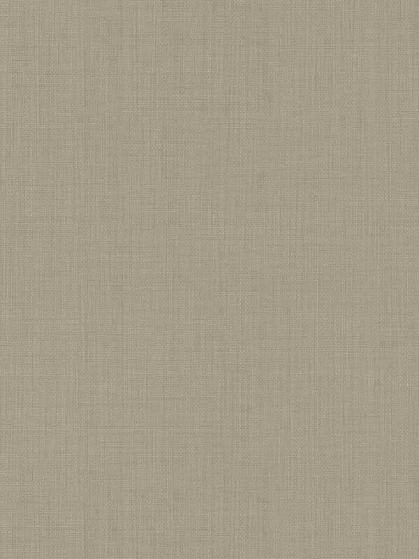 Sofia Weave fabric in mushroom color - pattern number SI15867 - by York in the Signature Textures Resource Library Second Edition collection