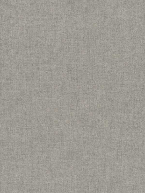 Su Tela fabric in taupe color - pattern number SI20869 - by York in the Signature Textures Resource Library Second Edition collection