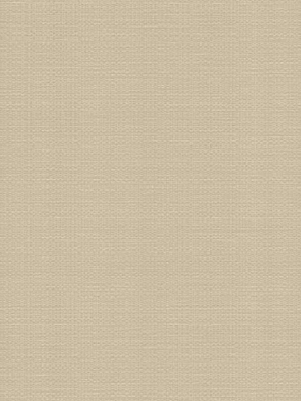 Bali Basketweave wallpaper in beige color - pattern number SI24920 - by York in the Signature Textures Resource Library Second Edition collection