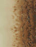 Disperse wallpaper in bronze color - pattern number W0149/01.CAC.0 - by Clarke and Clarke in the Fusion Clarke and Clarke collection