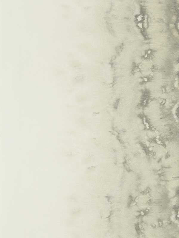 Disperse wallpaper in pearl color - pattern number W0149/02.CAC.0 - by Clarke and Clarke in the Fusion Clarke and Clarke collection