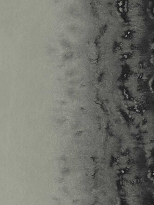 Disperse wallpaper in silver color - pattern number W0149/03.CAC.0 - by Clarke and Clarke in the Fusion Clarke and Clarke collection