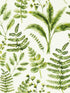 Bracken fabric in forest color - pattern number W0156/02.CAC.0 - by Clarke and Clarke in the Marianne collection