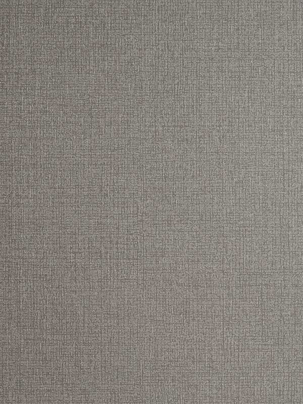 Nico fabric in pewter color - pattern number W0057/06.CAC.0 - by Clarke and Clarke in the Reflections collection