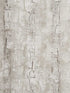 Tree Bark fabric in birch color - pattern number W0062/02.CAC.0 - by Clarke and Clarke in the Reflections collection