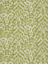 Felis fabric in green color - pattern number W0115/05.CAC.0 - by Clarke and Clarke in the Wilderie By Emma J Shipley collection