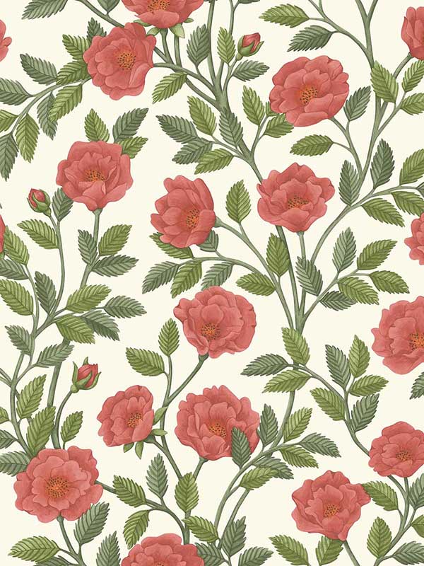 Hampton Roses wallpaper in rouge and spring green color - pattern number 118/7013.CS.0 - by Cole and Son in the Historic Royal Palaces Great Masters collection