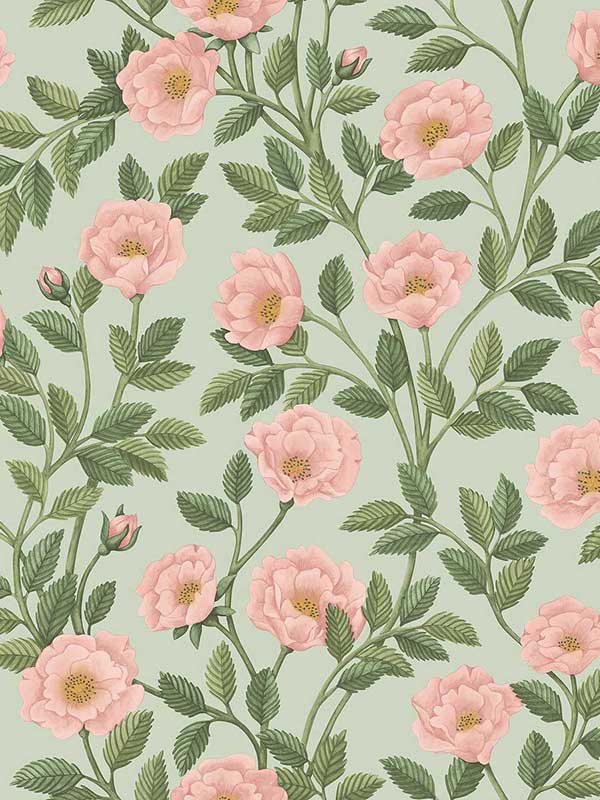 Hampton Roses wallpaper in rouge and leaf green color - pattern number 118/7014.CS.0 - by Cole and Son in the Historic Royal Palaces Great Masters collection