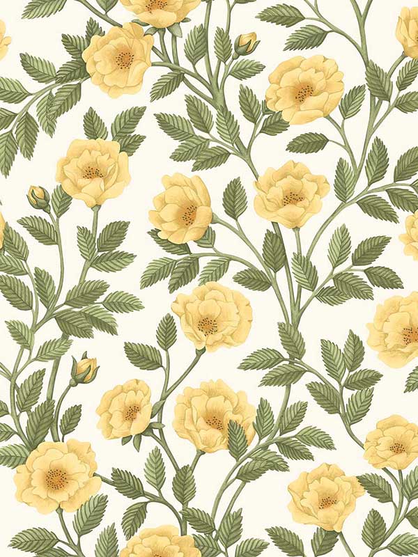Hampton Roses wallpaper in marigold olive green color - pattern number 118/7015.CS.0 - by Cole and Son in the Historic Royal Palaces Great Masters collection