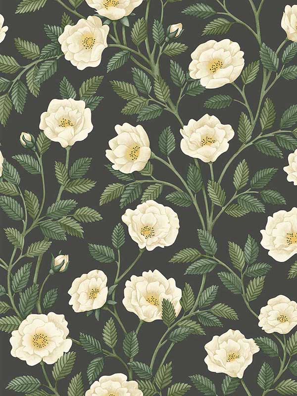 Hampton Roses wallpaper in cream forest green color - pattern number 118/7016.CS.0 - by Cole and Son in the Historic Royal Palaces Great Masters collection