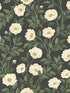 Hampton Roses wallpaper in cream forest green color - pattern number 118/7016.CS.0 - by Cole and Son in the Historic Royal Palaces Great Masters collection