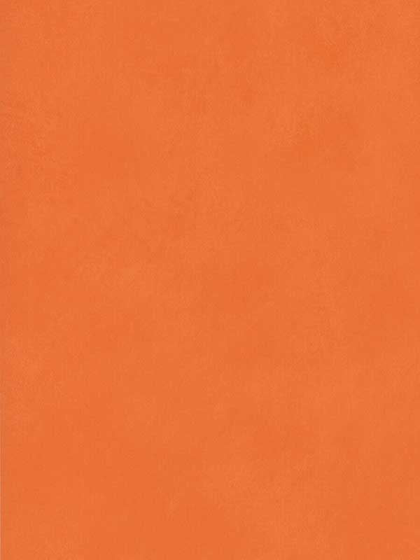 Japan wallpaper in melon color - pattern number AMW10059.12.0 - by Andrew Martin in the Japan collection