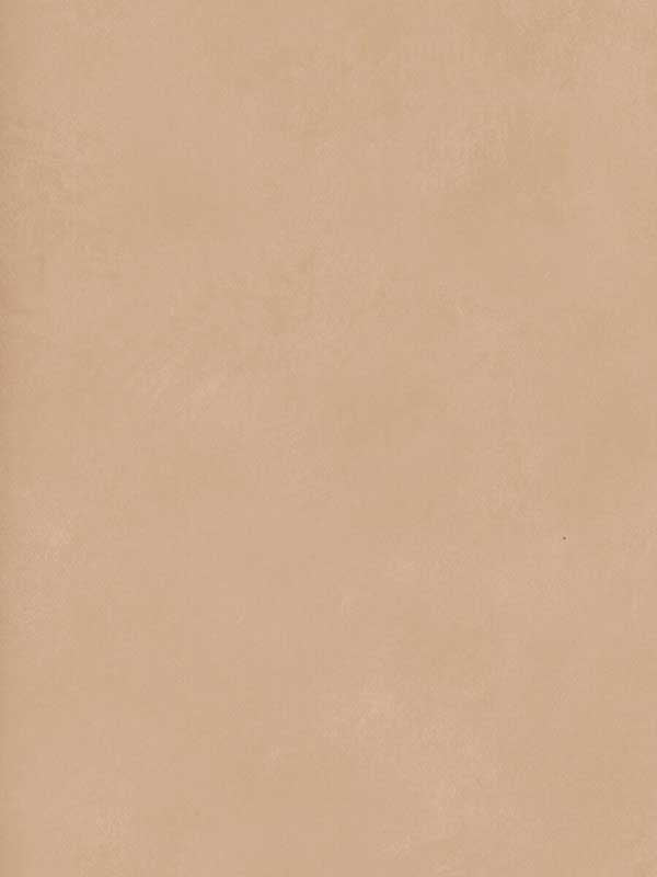 Japan wallpaper in blush color - pattern number AMW10059.16.0 - by Andrew Martin in the Japan collection